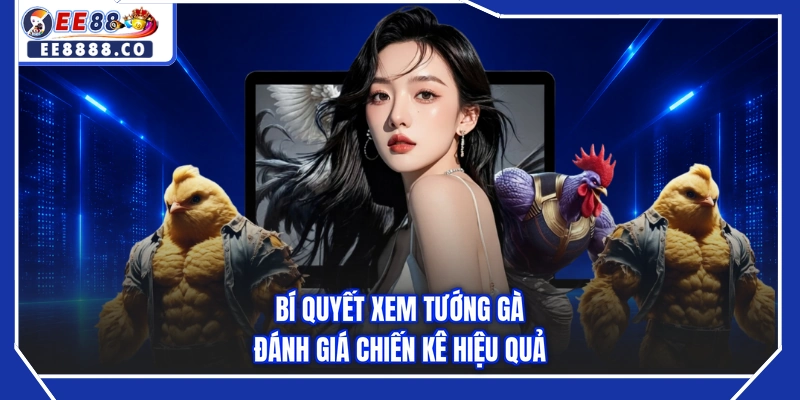 Bí quyết xem tướng gà đánh giá chiến kê hiệu quả