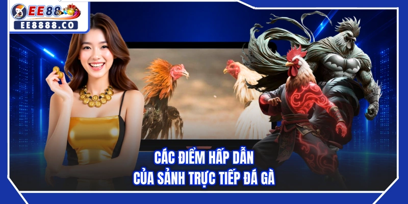 Các điểm hấp dẫn của sảnh trực tiếp đá gà