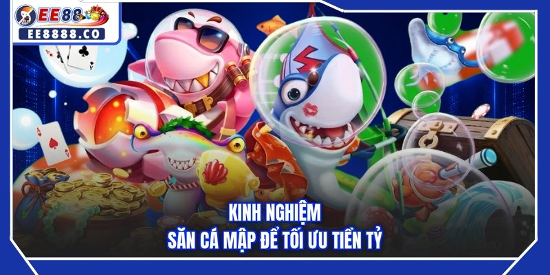 Kinh nghiệm săn cá mập để tối ưu tiền tỷ