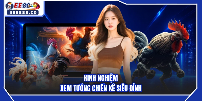 Kinh nghiệm xem tướng chiến kê siêu đỉnh