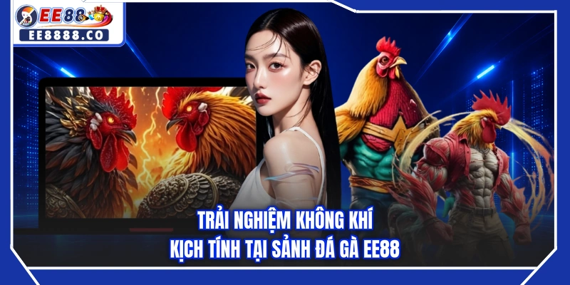 Trải nghiệm không khí kịch tính tại sảnh đá gà EE88