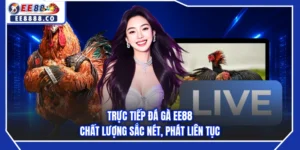 Trực Tiếp Đá Gà EE88 - Chất Lượng Sắc Nét, Phát Liên Tục